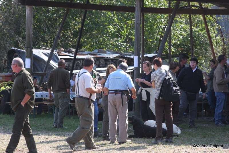 Field Erstein 09 (78).JPG